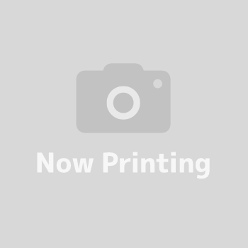 港区南青山4丁目 中古一戸建て