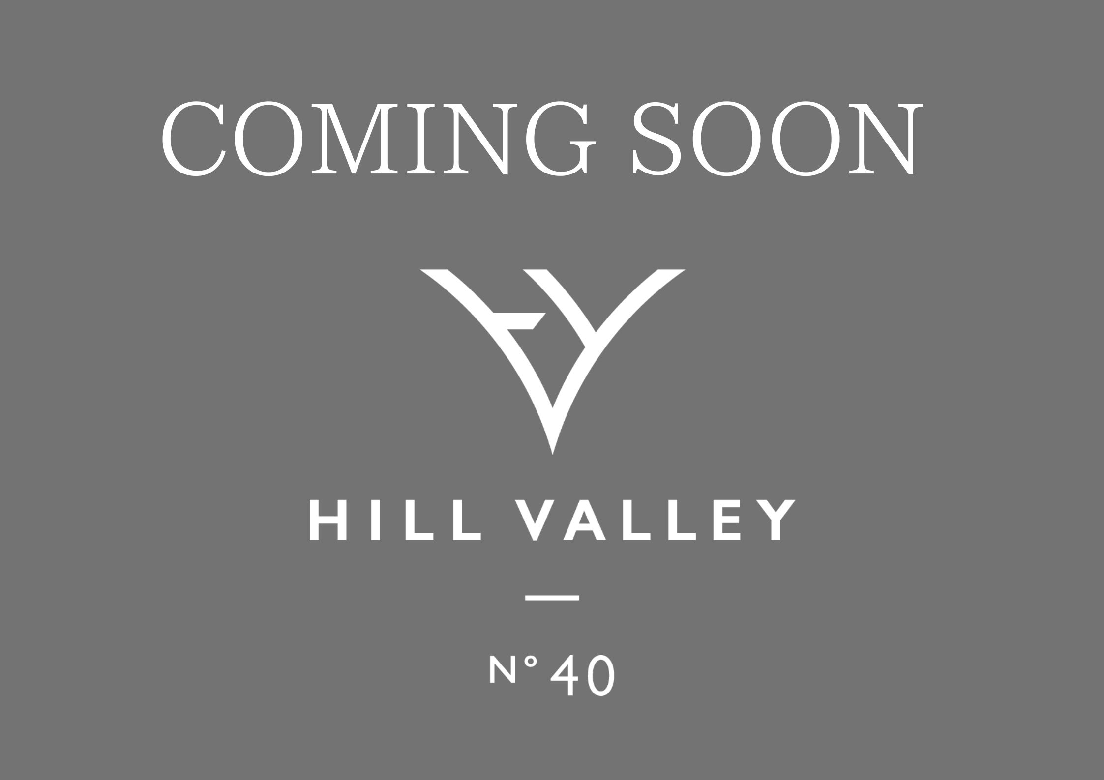 HILL VALLEY　No.40