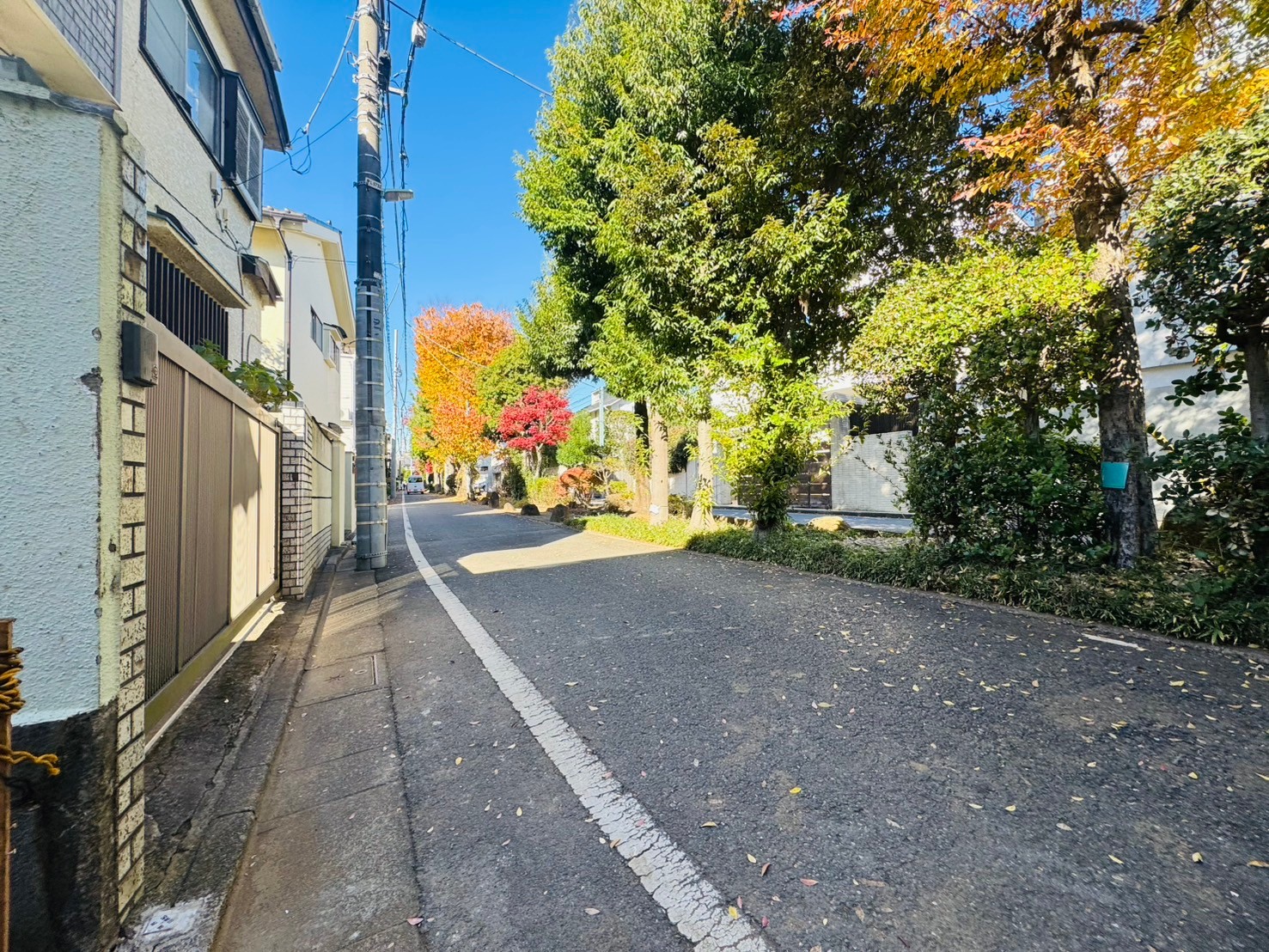 目黒区東が丘1丁目　売地