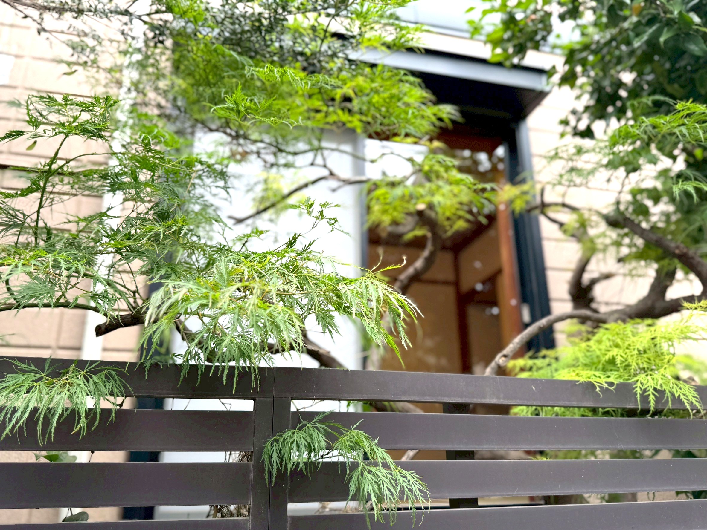 板橋区中台1丁目／中古一戸建て／6980万